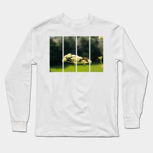 Wasp on a white Caraway or meridian fennel flower. Macro photo. Texture of white petals. Wasp close-up. Drawing on the body of a wasp. The wasp pollinates the flower. Natur green background. Bokeh Long Sleeve T-Shirt